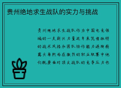 贵州绝地求生战队的实力与挑战